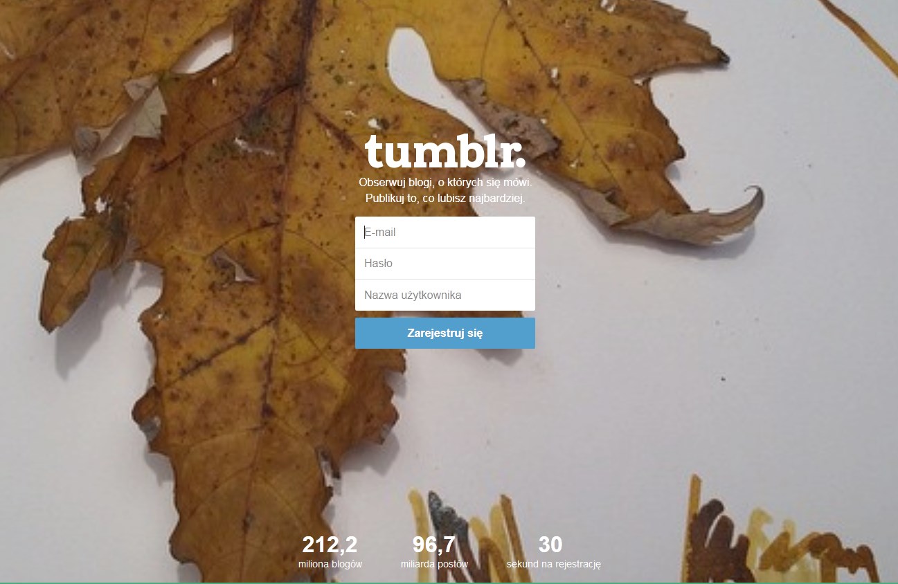 Co to jest Tumblr? - zdjęcie 